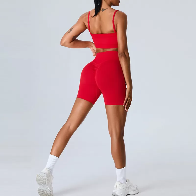 Conjunto de yoga de 2 piezas para mujer: sujetador, top y pantalón FGBMS1104